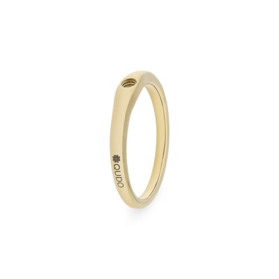 Bague QUDO, acier inoxydable or
